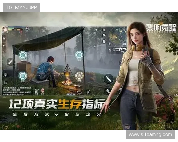 星空体育入口官网常用功能介绍与操作指南全解析